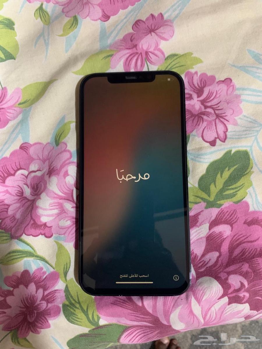 iPhone 12 Pro Max 25664538176715651113