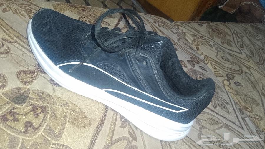 شوز من ماركة البومه جديد مالبستو ولا مره سبب البيع صغير علي64542913025666110