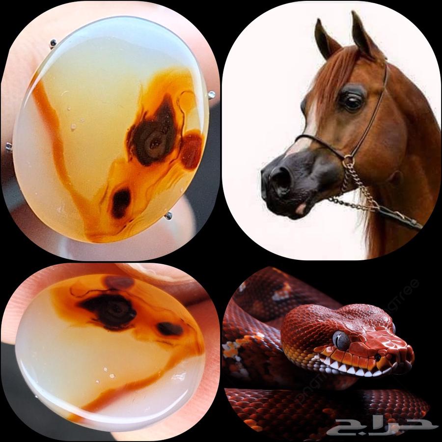 عقيق يماني نوادر64411982431747110