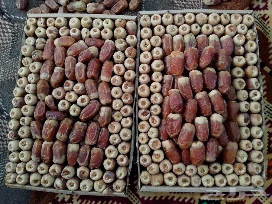 صقعي كل يوم لهذا العام64411028269570112