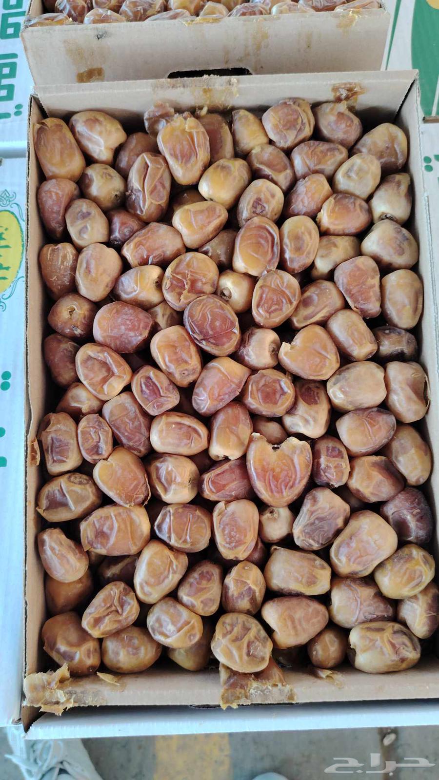 Fresh Sukkari Dates Number 164407684848513113