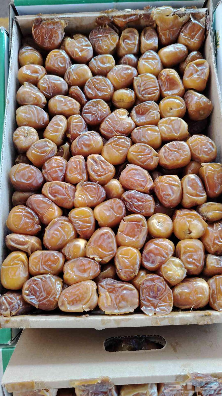 Fresh Sukkari Dates Number 164407684848513110