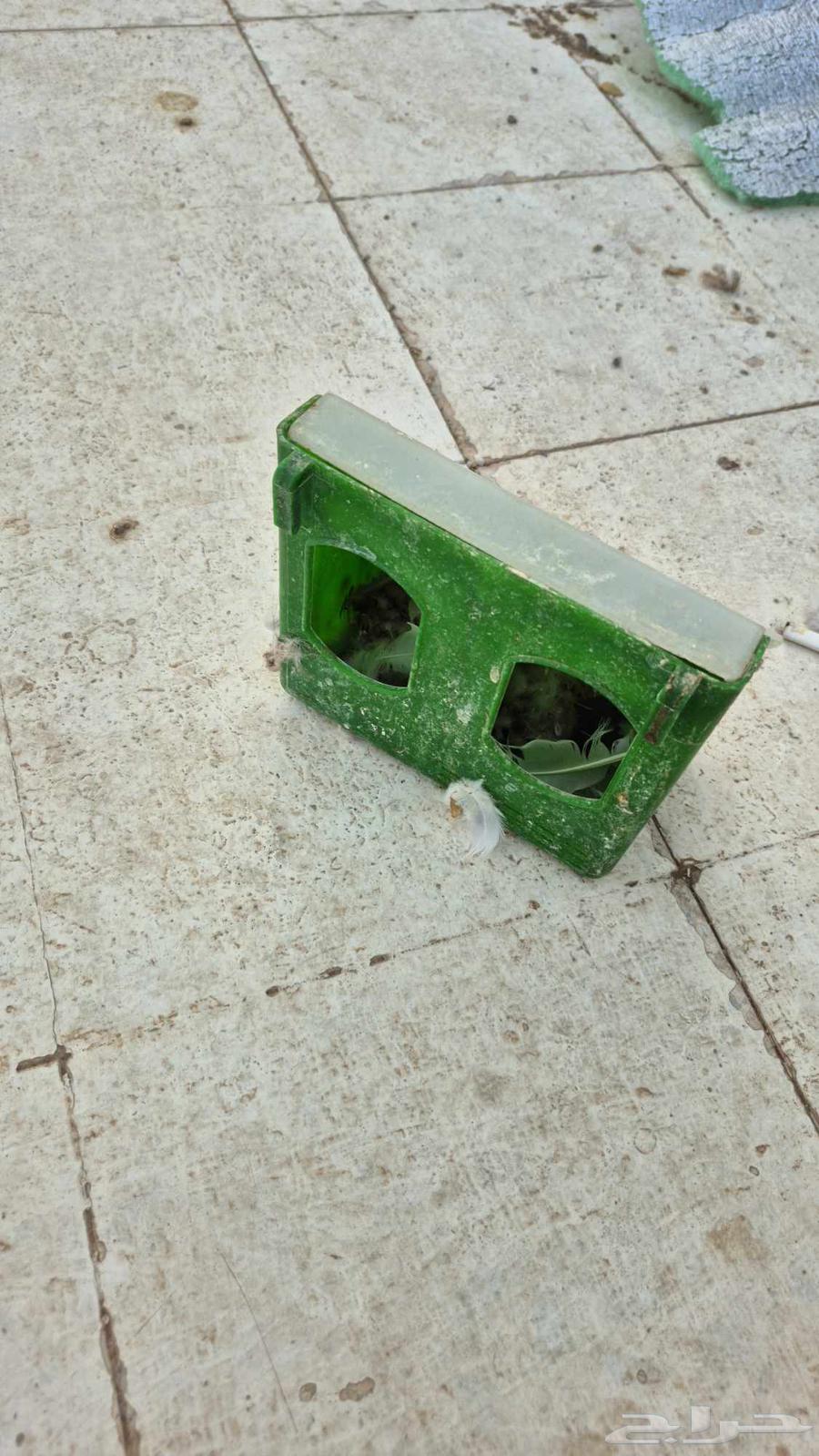 للبيع فخارات وأكالات حمام مستعملة64410158703873111