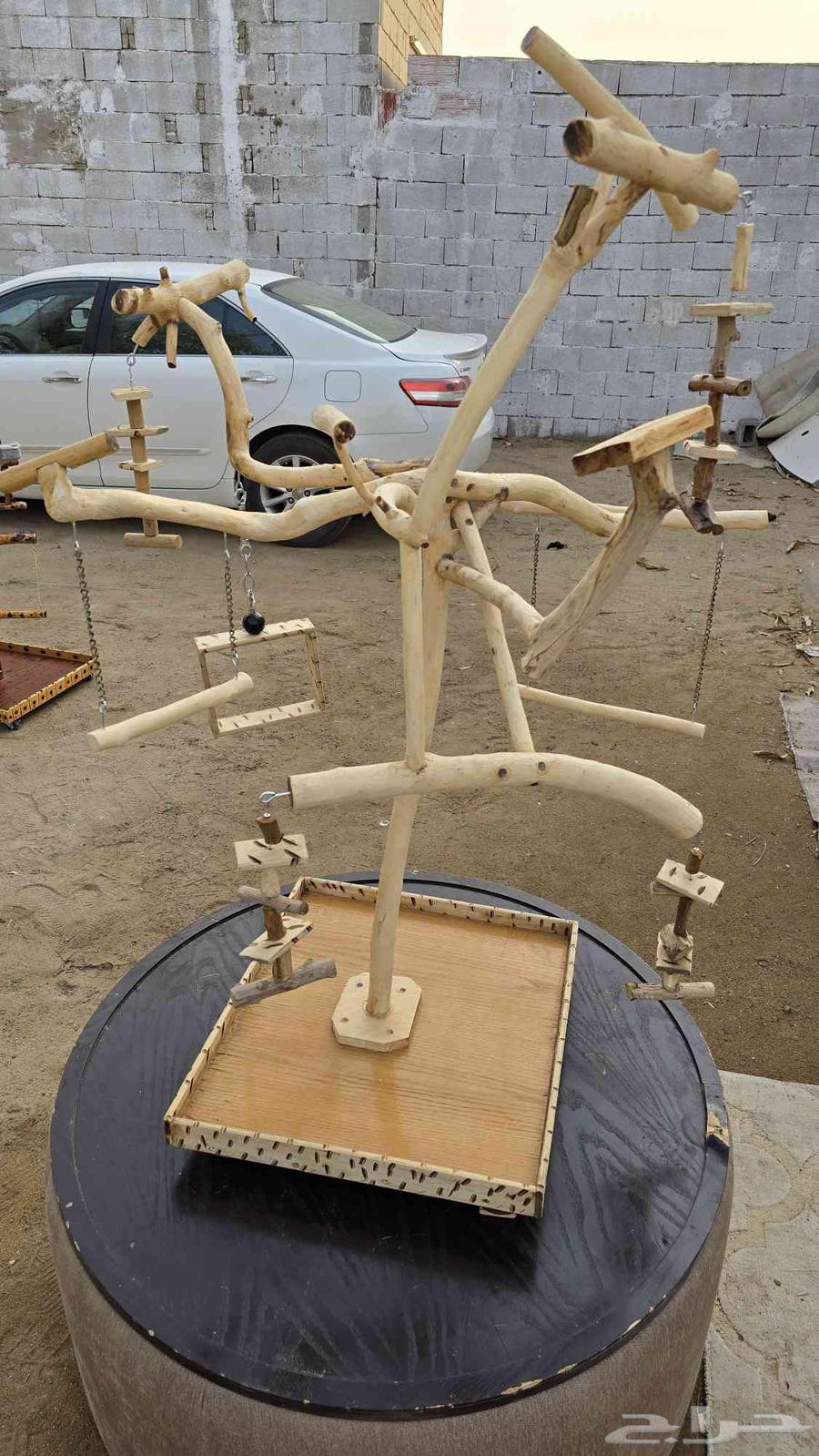 Stands for all types of birds, parrots, budgies, and others64409865784962111