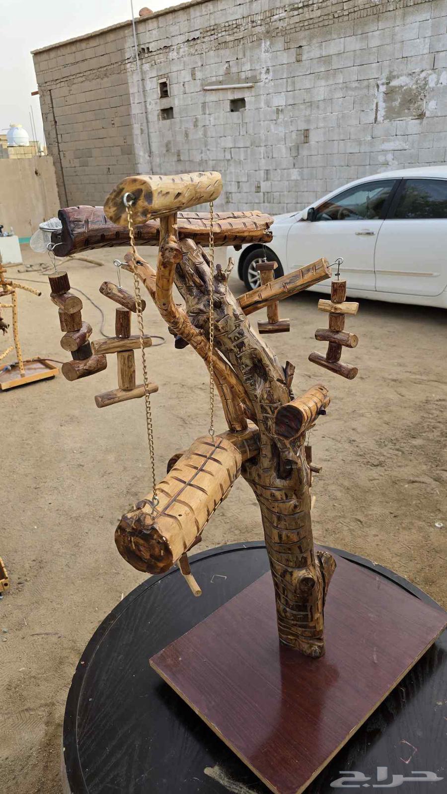 Stands for all types of birds, parrots, budgies, and others64409865784962114