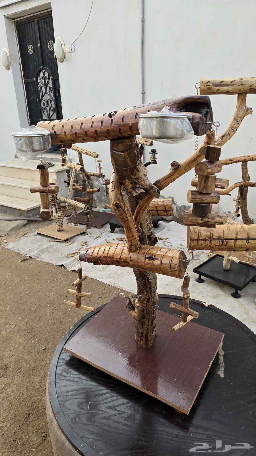 Stands for all types of birds, parrots, budgies, and others64409865784962112