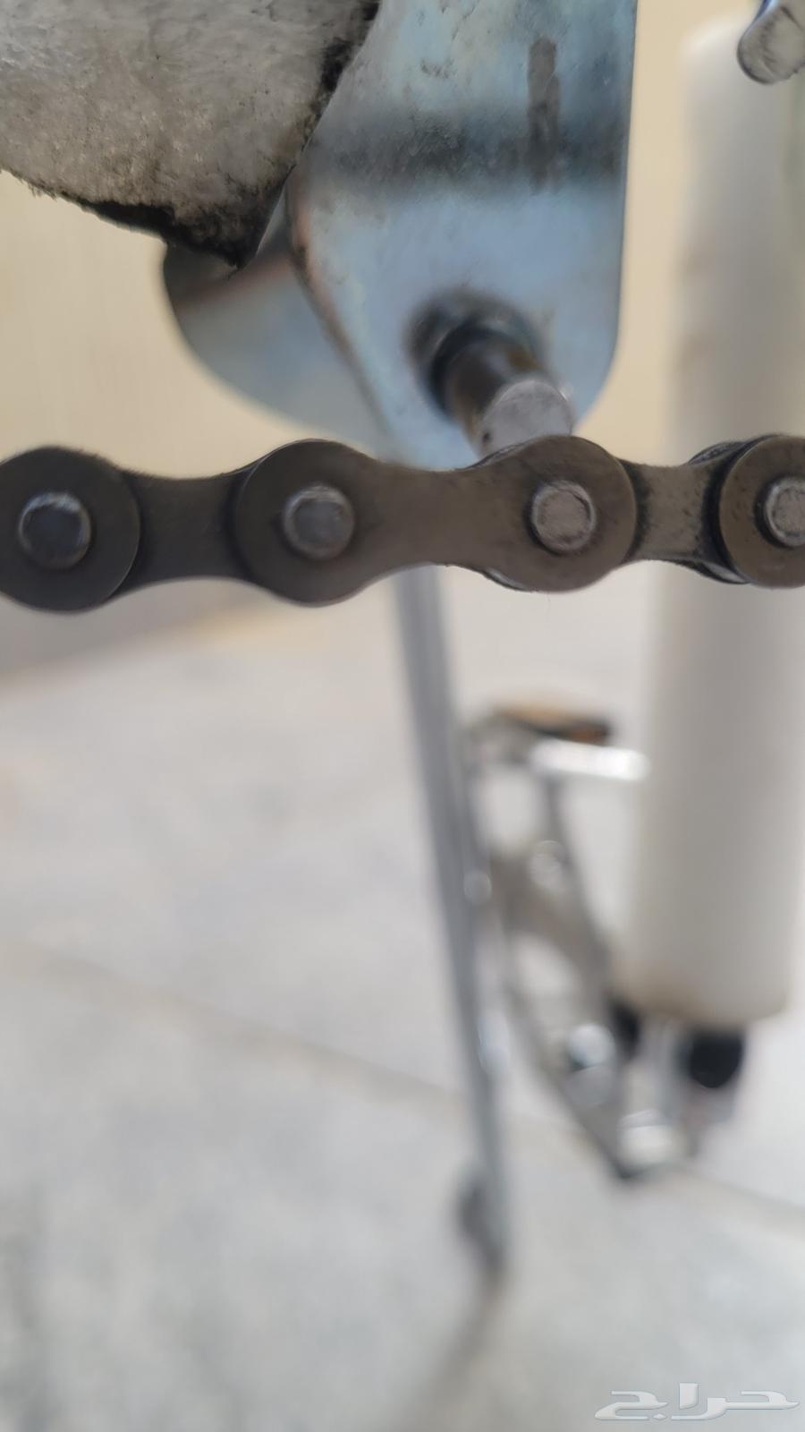 سيكل كوبرا اصلي مقاس 2064408794399490112