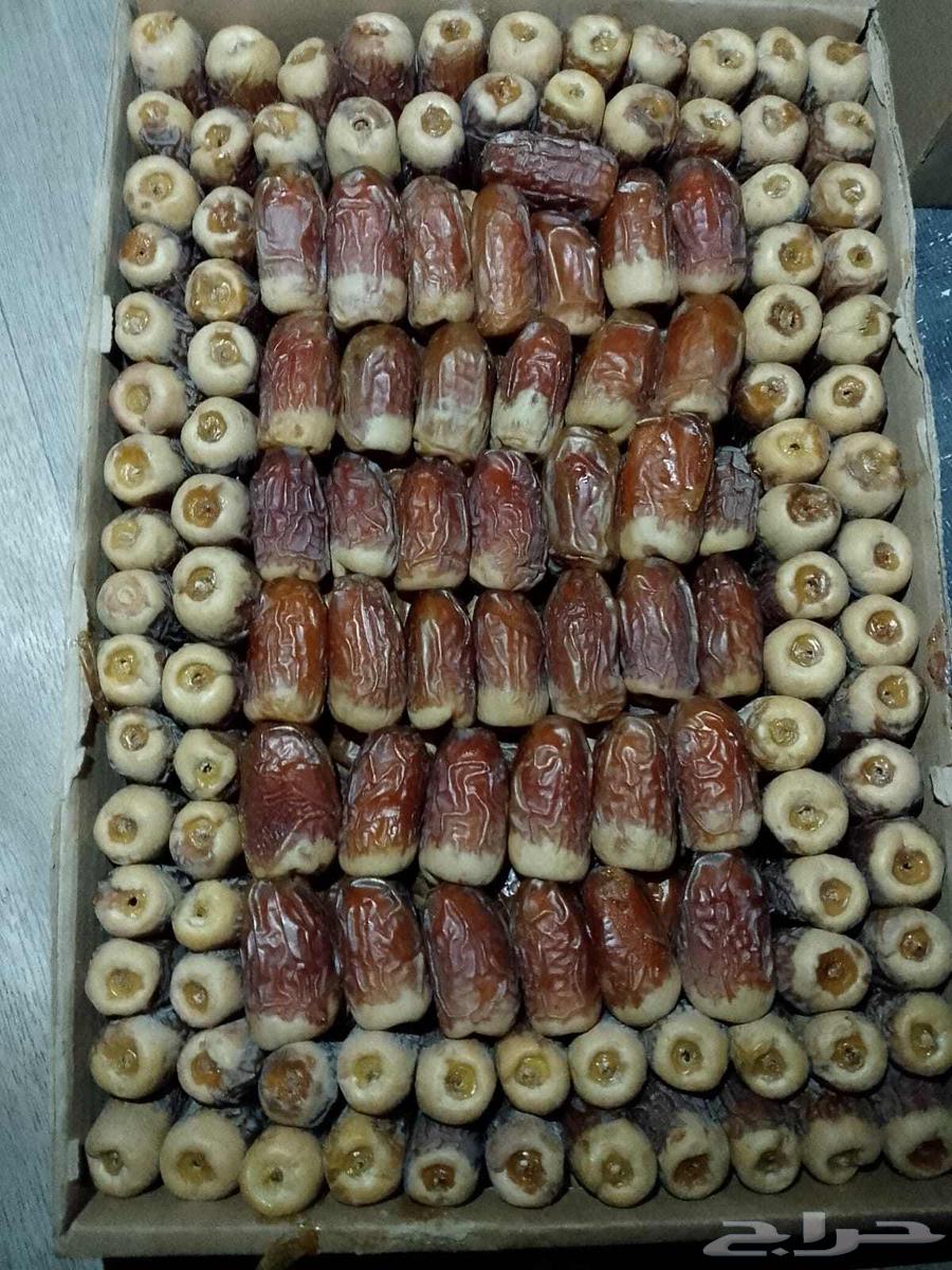 صقعي كل يوم لهذا العام64411028269570113