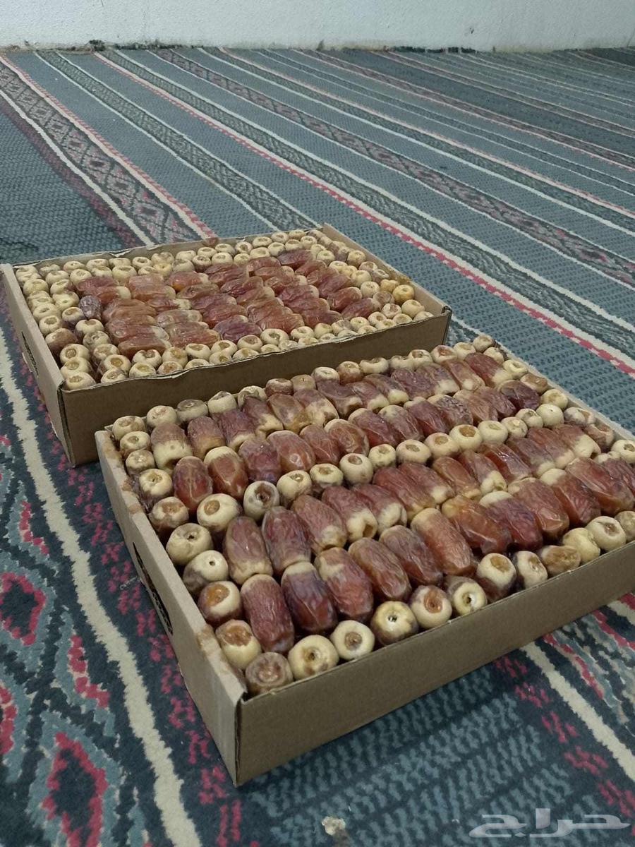 صقعي كل يوم لهذا العام64411028269570114