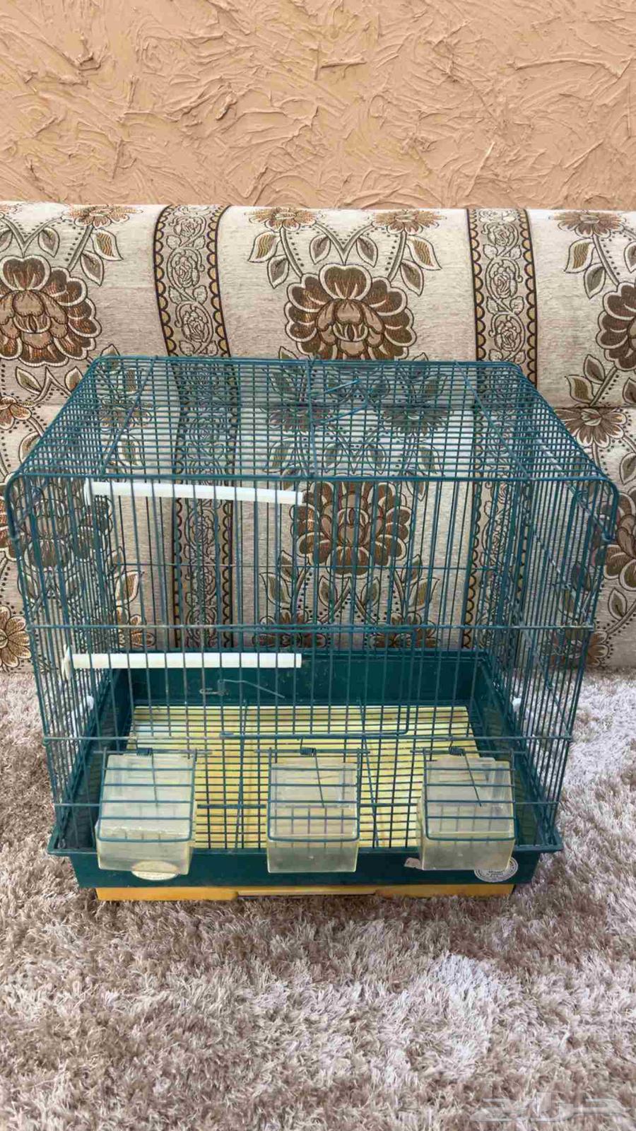 شبك طيور بادجي(تم البيع الله يبارك للمشتري)64407964869635110