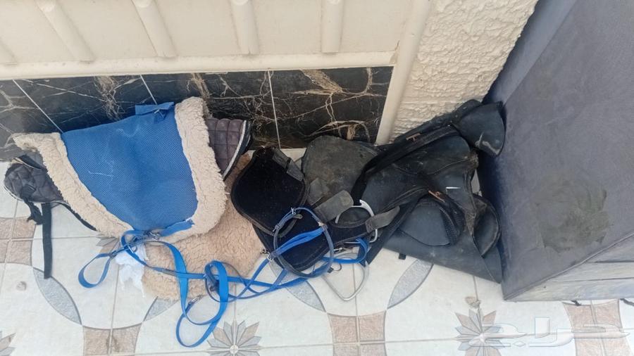 Imaginary Items64407224297473110