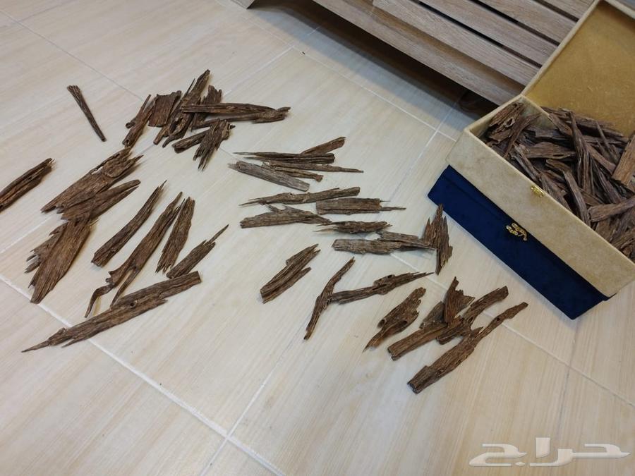 عود هندي ناجلاند زورا64406862864897111