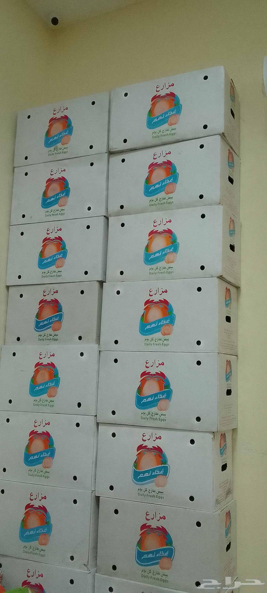 كراتين بيض غير مسفطه على3ر فقط حي الشرفيه او حي الشفاء64410652871169110