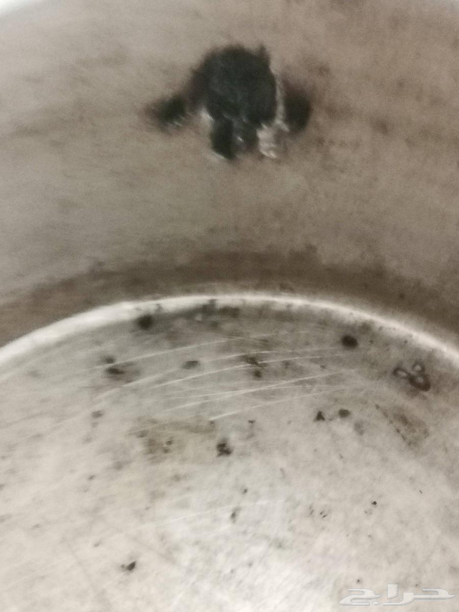 بريق ابوختمين مقاس 1064411162469890114