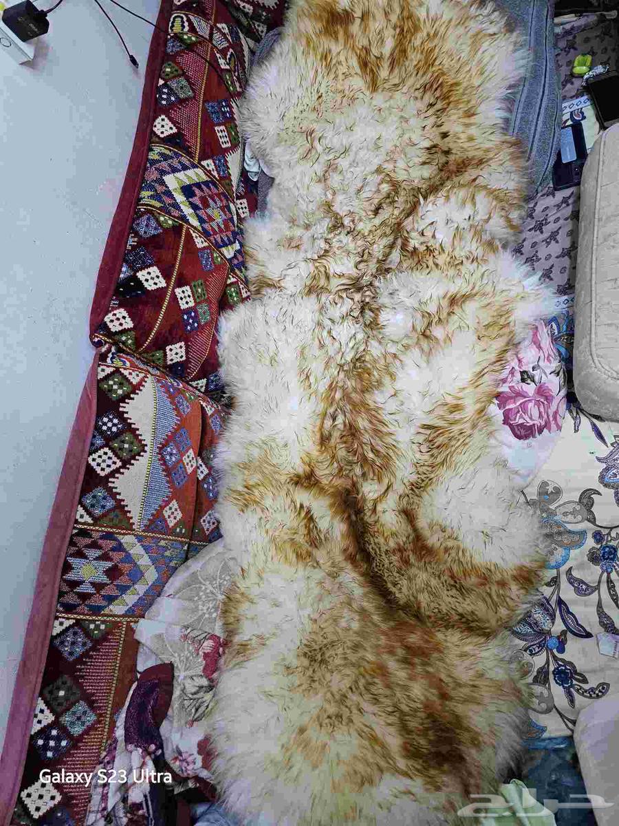 تلبيسه فرو الاصلي للسائق فقط64406485957378111