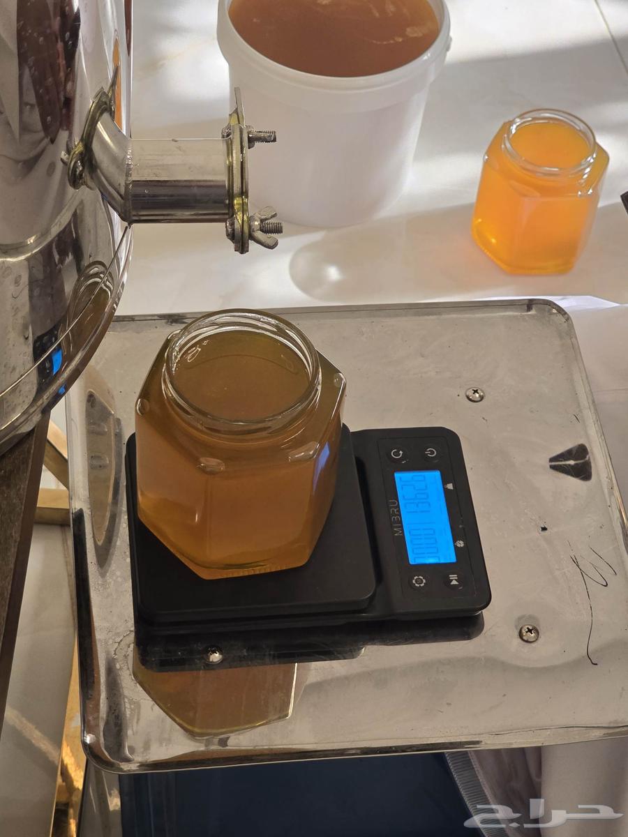 Natural Sidr Honey, Newly Produced Under My Supervision64407001736577111