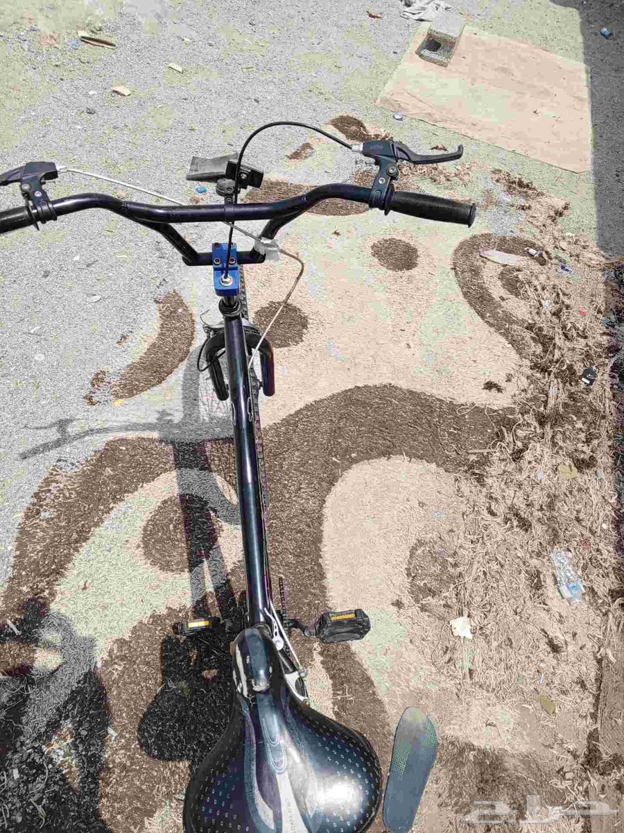 دراجة كوبرا مقاس 2664405624752258111