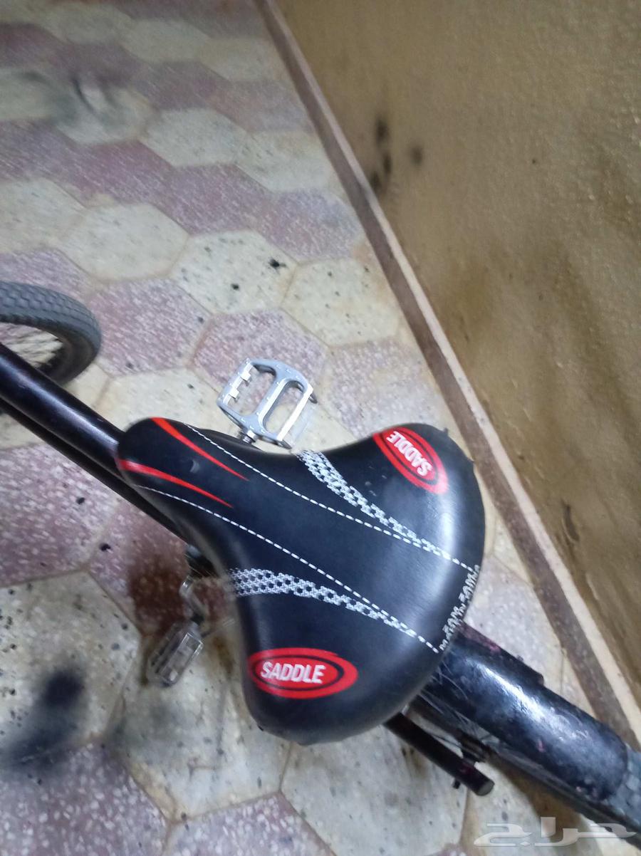 سيكل مقص 20 مفي شي64411567389954114