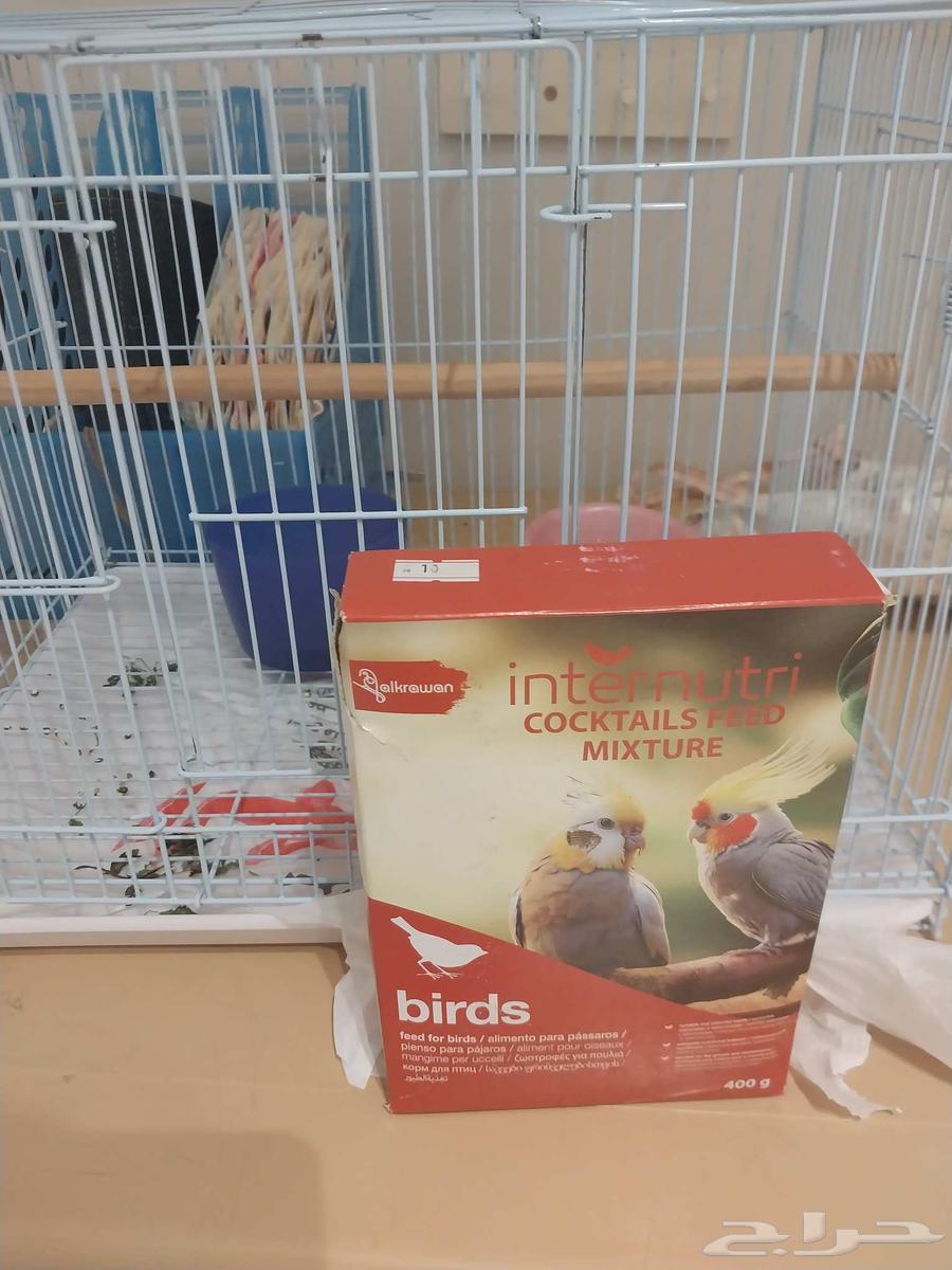 قفص للبيع مع الاكل السعر 91 ريال64409769062403110
