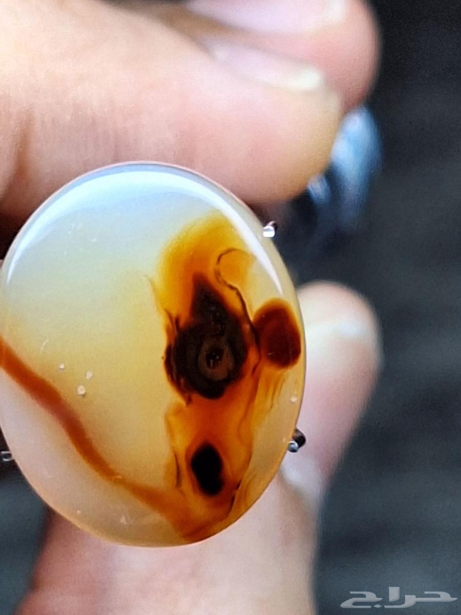 عقيق يماني نوادر64411982431747111