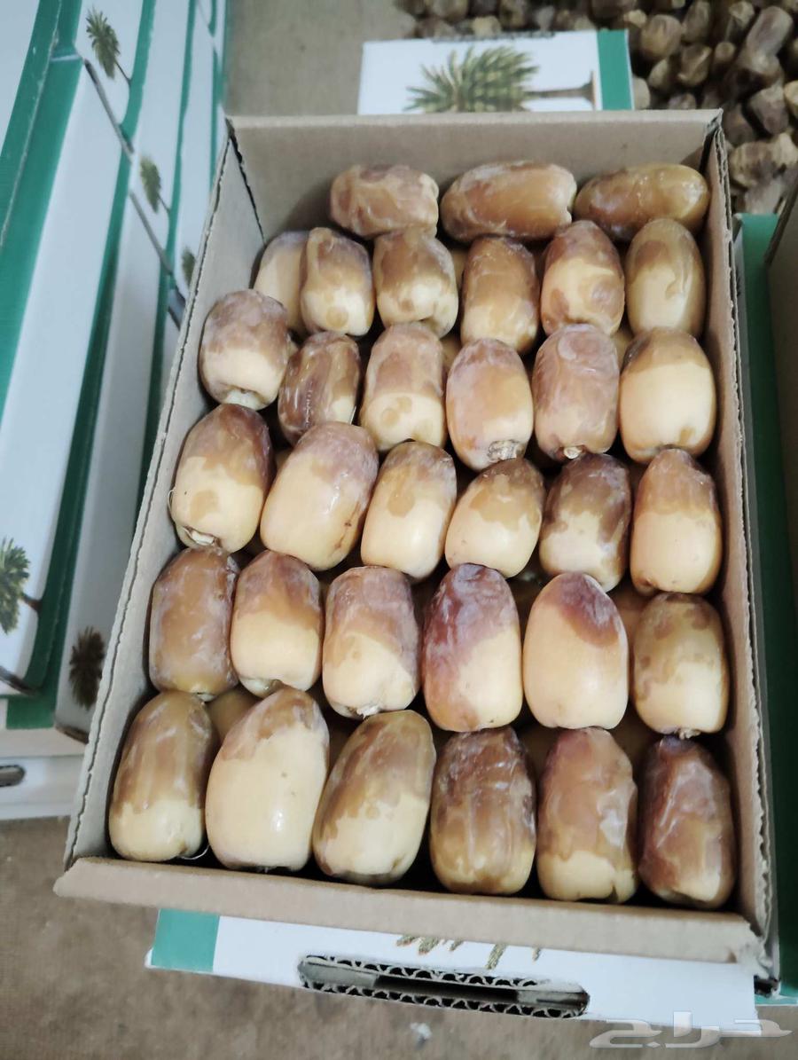 Saqi dates for sale, one and a half kilo box, price is ten riyals64407015522561114
