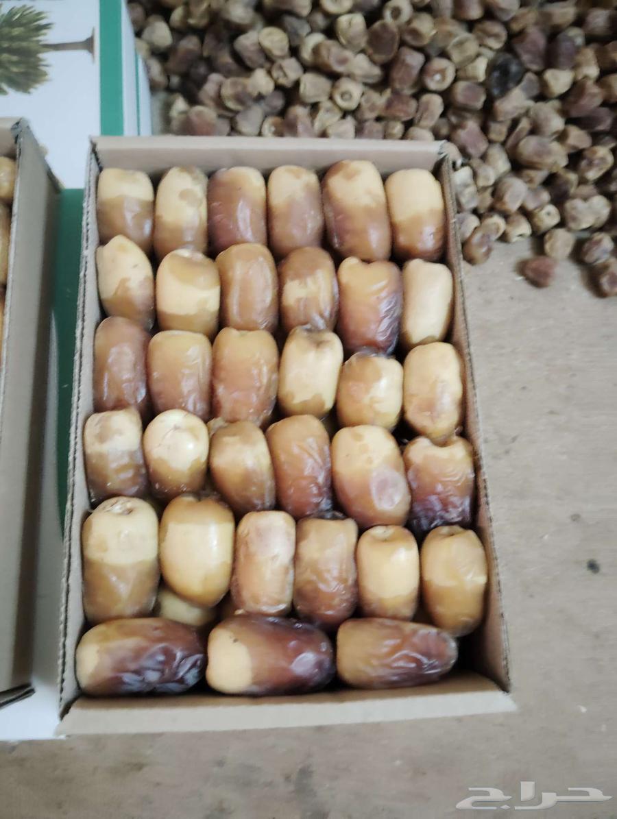 Saqi dates for sale, one and a half kilo box, price is ten riyals64407015522561113