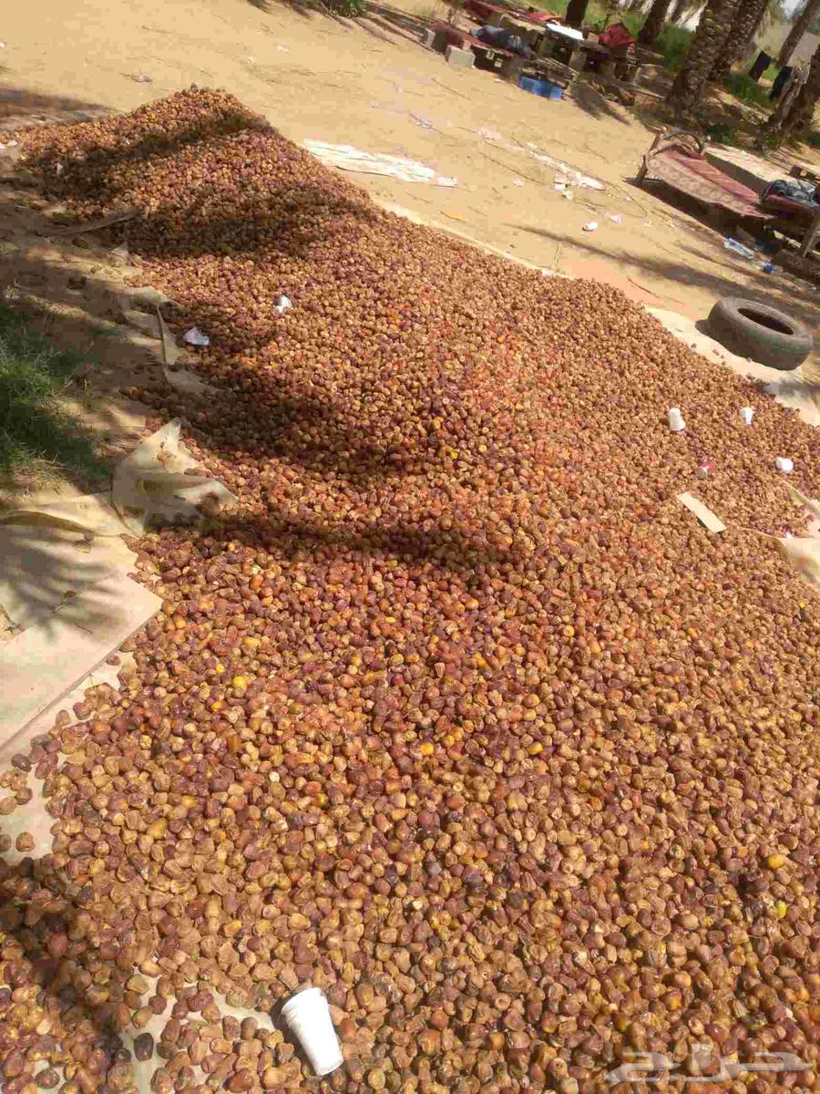 لبيع64563743688705112