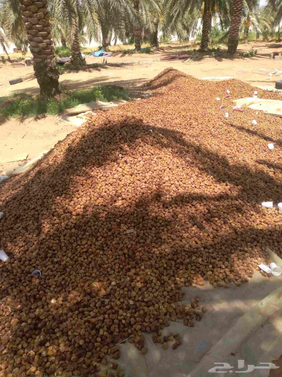 لبيع64563743688705110