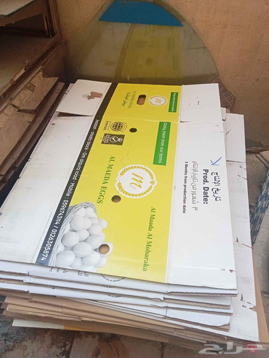 كراتين بيض استخدام مره واحده فقط نظيفه64406723578115110