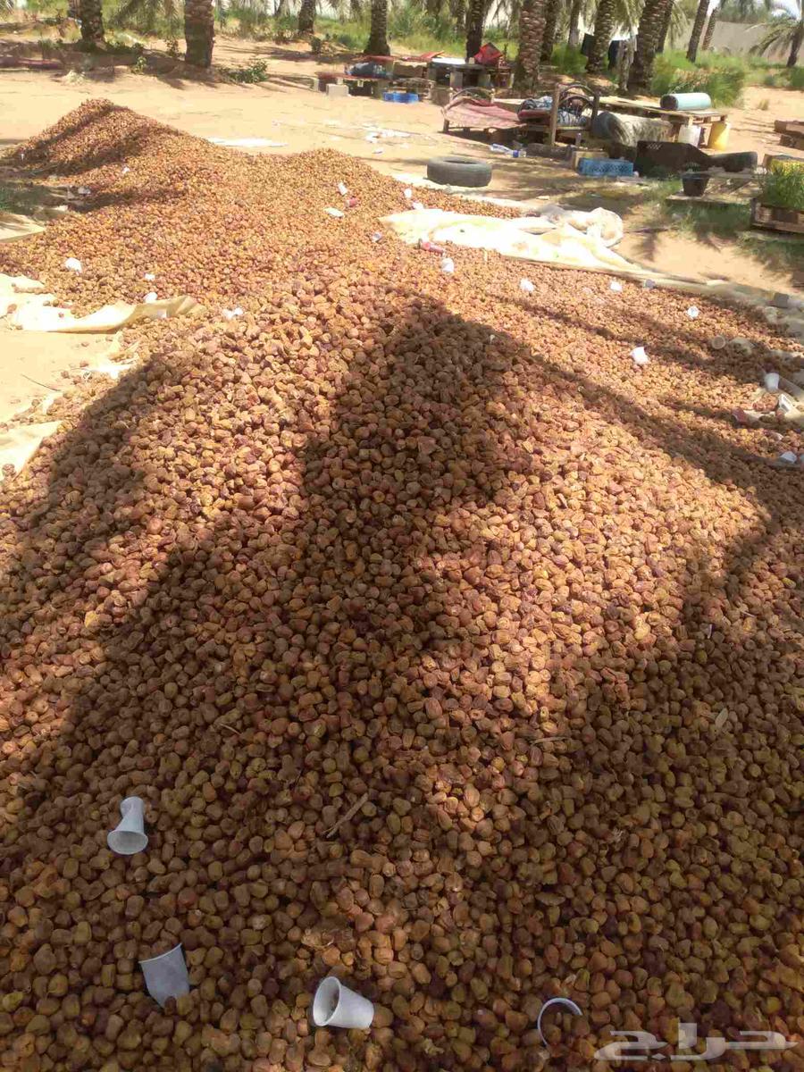 لبيع64563743688705111