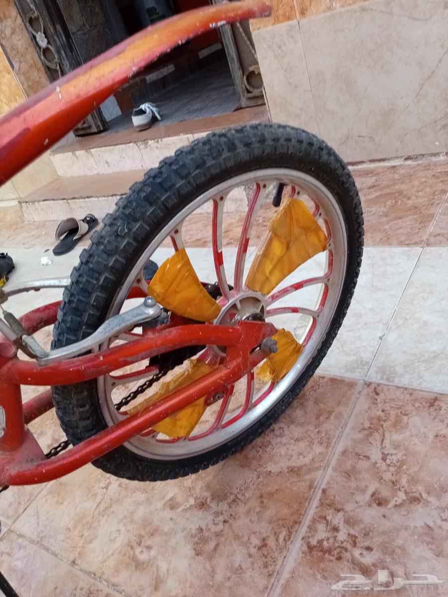 سيكل مقاس 20 بدايه السوم 100 ريال64409324593283112