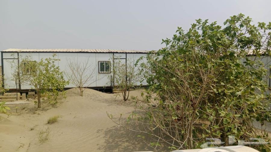 بركسات للبيع64411982422914111