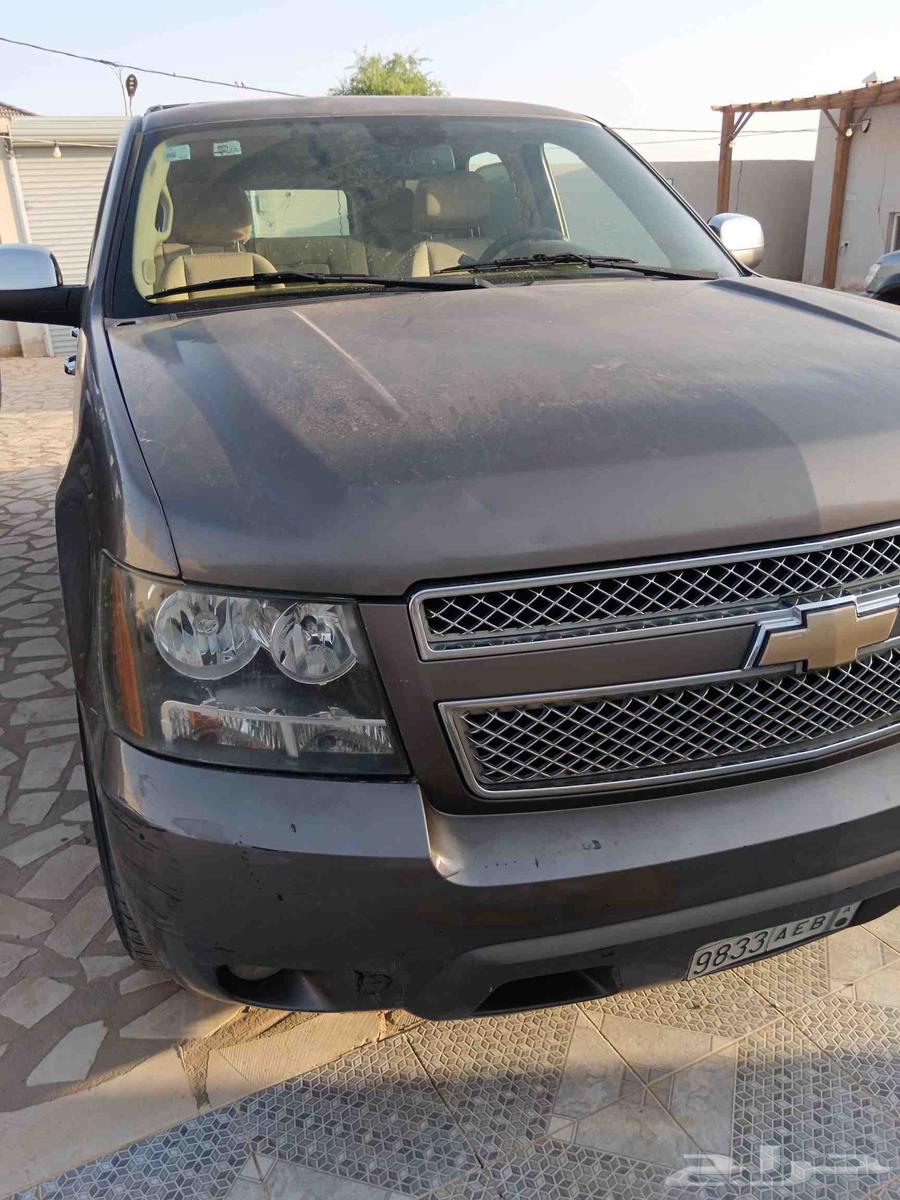 Al-Qassim64560487475458111