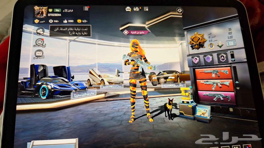 PUBG account with two Mummy outfits and many weapons64411297522562113