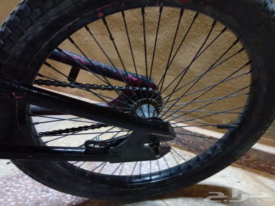 سيكل مقص 20 مفي شي64411567389954111