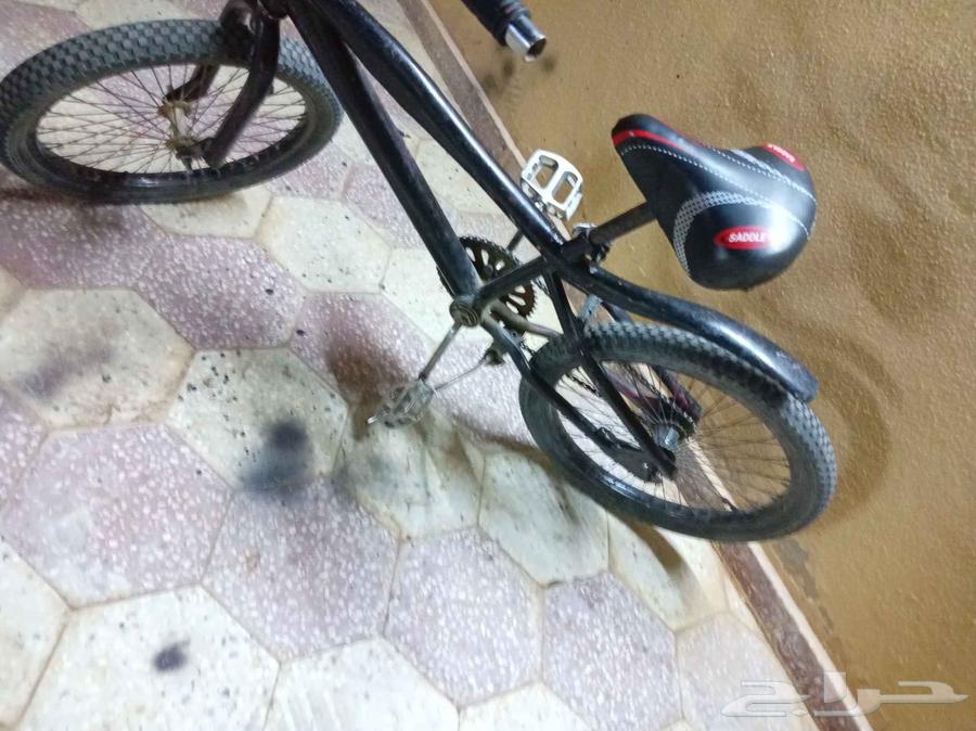 سيكل مقص 20 مفي شي64411567389954110