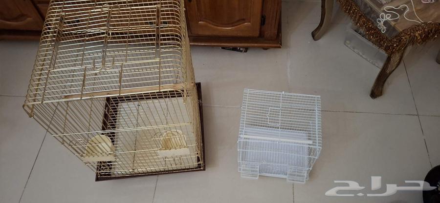 اقفاص للبيع64411243198851114