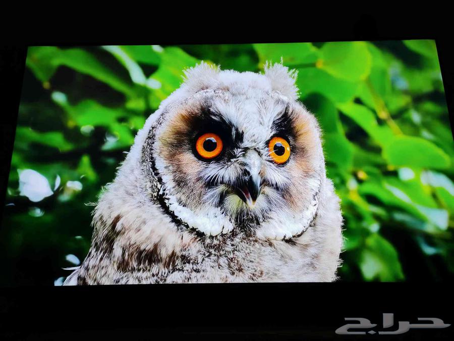 SKYWORTH 60Q6800H Screen64409185680897111