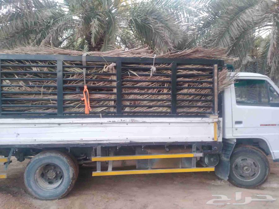 سعف نخل أخضر جديد للعرايش والمظلات والمظلات64410073902595114