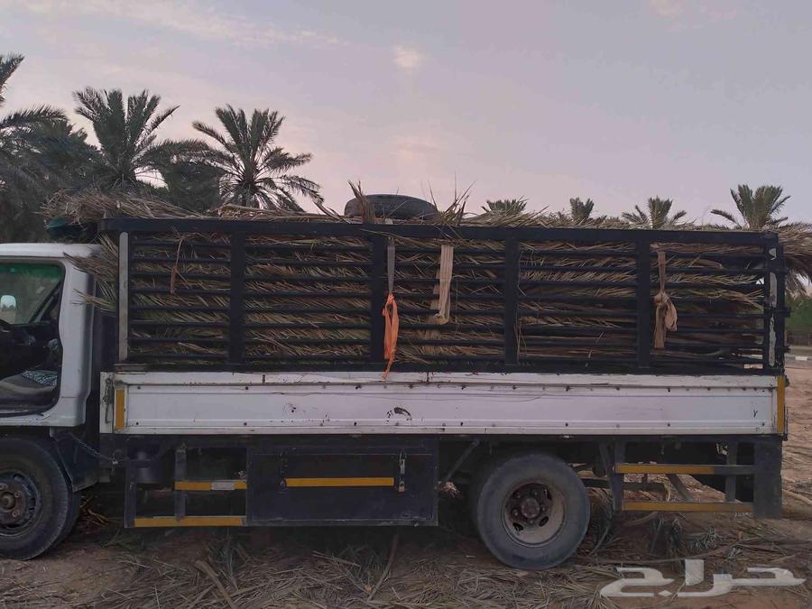 سعف نخل أخضر جديد للعرايش والمظلات والمظلات64410073902595112