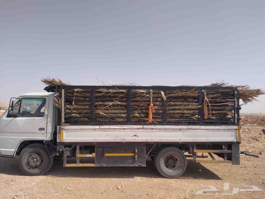 سعف نخل أخضر جديد للعرايش والمظلات والمظلات64410073902595110