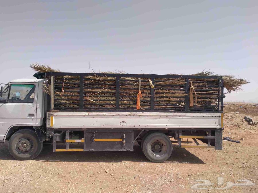 سعف نخل أخضر جديد للعرايش والمظلات والمظلات64410073902595111