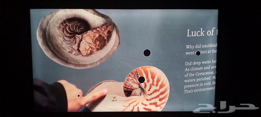 شاشه 50 بوصه64406430747010110