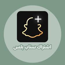 Snap Plus Subscription64411500492289110