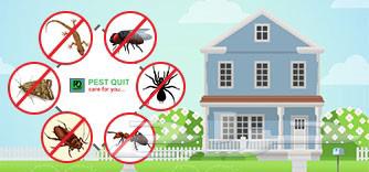 مبيدات حشرات خودهاري الخبيرة رش ومكافحة بق الفراش مع64569384678659111