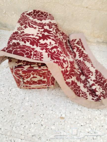 للبيع مركي شعبي64404973016578111