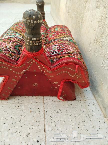 للبيع مركي شعبي64404973016578112