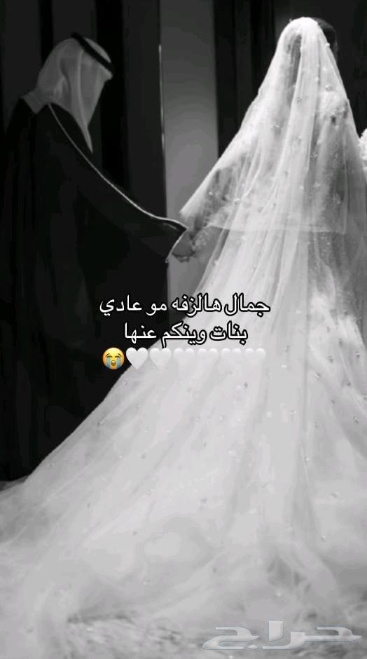 Zaffah with name on request, contact via WhatsApp64413904735361113