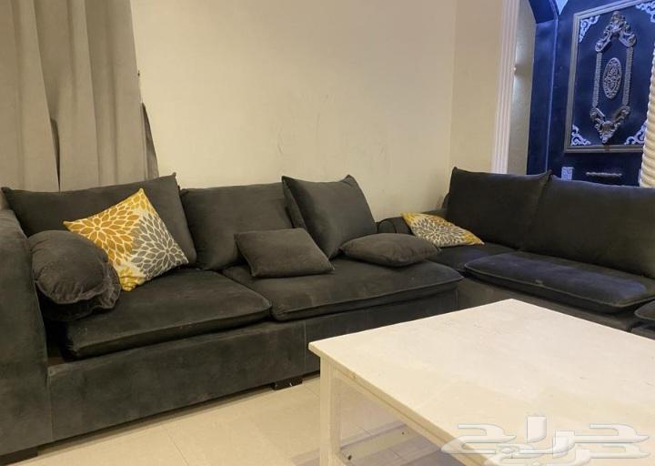 كنب زاوية64408694949890110