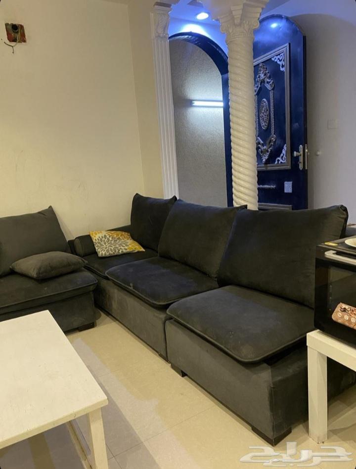 كنب زاوية64408694949890111